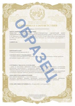 Образец Сертификат СТО 01.064.00220722.2-2020 Верхний Уфалей Сертификат СТО 01.064.00220722.2-2020 